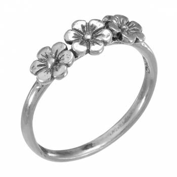 Rings: R02717